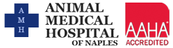 Animal Medical Hospital of Naples